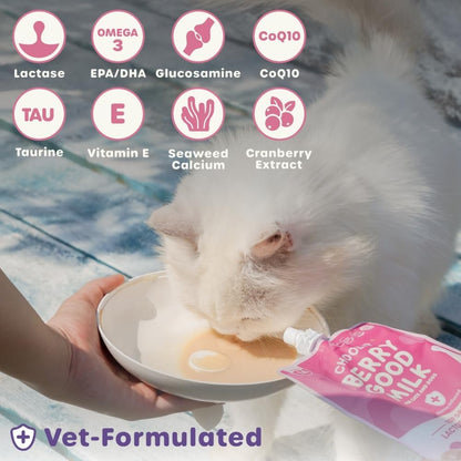 Choolip Berry Good Milk – 10-Pack Lactose-Free Vitamin Milk for Cats & Dogs | Vet-Formulated Pet Drink Supporting Urinary, Joint & Digestive Health | Grain-Free, Ready to Serve