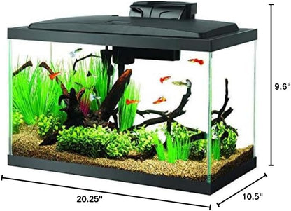 Aqueon Aquarium Fish Tank Starter Kit with LED Lighting 10 Gallon Fish Tank