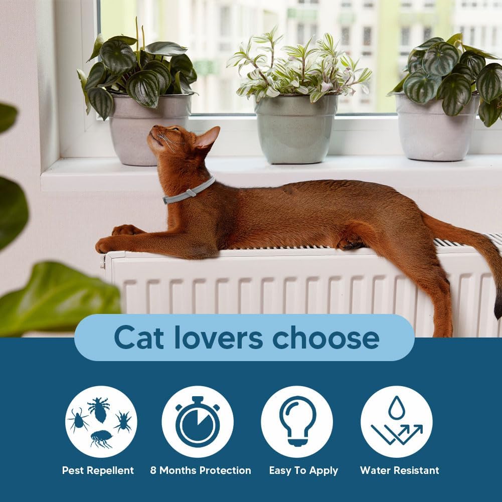 Flea Collar for Cats, Cat Flea and Tick Collars, Cat Flea Collars, Kitten Tick Collar, Adjustable 8 Months Protection (Pack of 2)