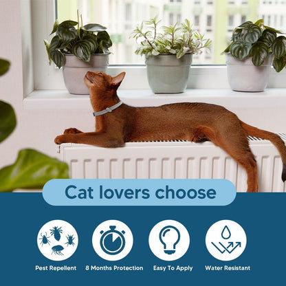 Flea Collar for Cats, Cat Flea and Tick Collars, Cat Flea Collars, Kitten Tick Collar, Adjustable 8 Months Protection (Pack of 2)