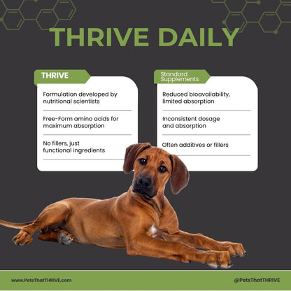 Thrive Daily Amino Acids for Dogs – Muscle Health, Recovery, Energy & Longevity – Supports Joints, Skin & Coat – Peanut Butter Soft Chews, 30 Count (4.8oz)