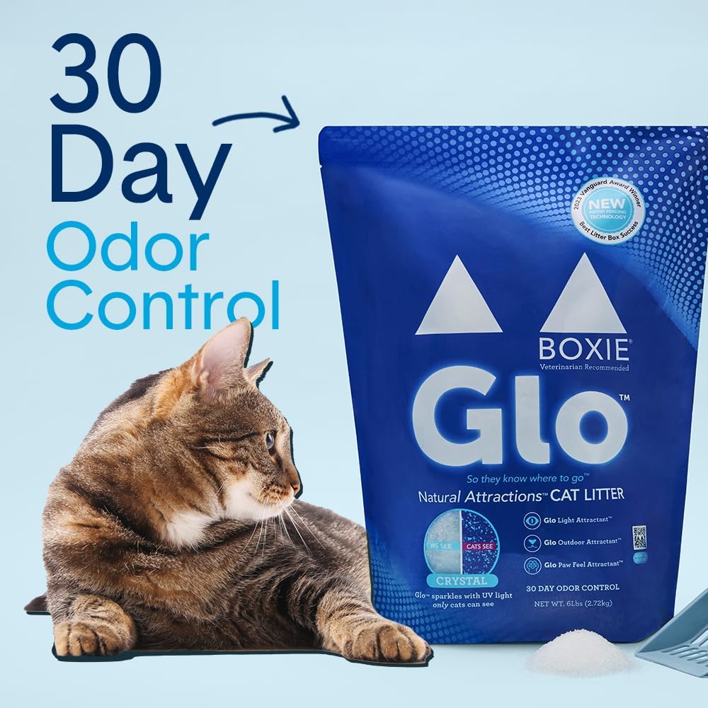 Boxie® Glo™ 30 Day Odor Control Non-Clumping Crystal Cat Litter, 6 lb, Natural Attractions, UV Light Attractant, Soft Granules, 99.9% Dust-Free, Long-Lasting for Multi-Cat Homes