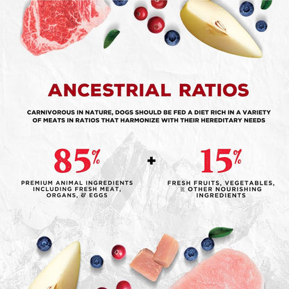 Coevo Open Plains Full Freeze Dried Dog Food, 454 GR