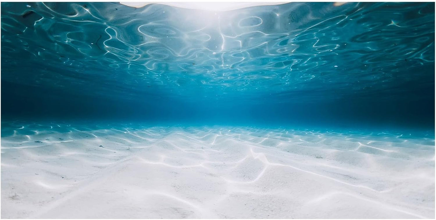 Aquarium Background Poster, Fish Tank Background Sticker, The Shimmering Sea Vibrant Underwater Scenery for Stunning Aquarium Decorations 10 20 Gallon Tank (15.7" x 31.5" in)