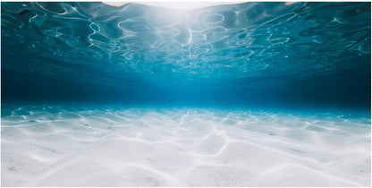 Aquarium Background Poster, Fish Tank Background Sticker, The Shimmering Sea Vibrant Underwater Scenery for Stunning Aquarium Decorations 10 20 Gallon Tank (15.7" x 31.5" in)