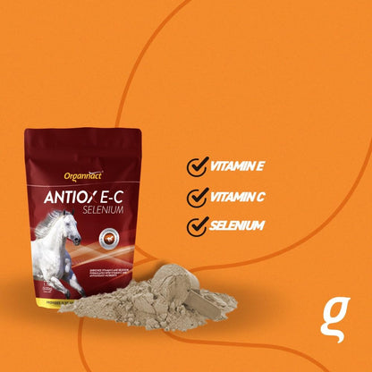 Organnact Antiox E-C Selenium Supplement for Horses - Supports Antioxidant Functions with Vitamin E, C & Selenium - Ideal for Athletes, Breeders & Aging Horses - 1.1 Lbs