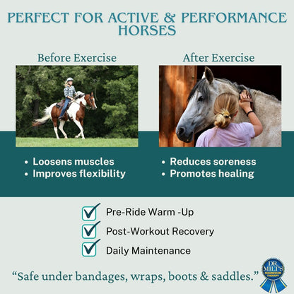 Dr. Milt's Horse Topical Epsom Salt Pain Relief Ointment Rub: Poultice and Liniment Cream. 1-8oz Cream