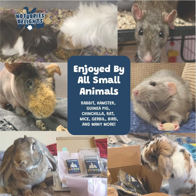 Treats, 100% All Natural Mini Bites for Rabbit Hamster Guinea Pig Chinchilla Pet Rat Mice Gerbil Bird Healthy Enrichment Bonding Rewarding Training Nature's Bites Variety Pack 50g