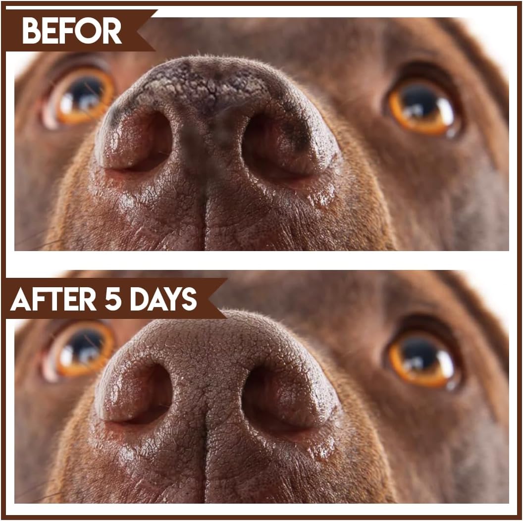 SINCE 1871 GÜLLÜOGLU Vetnatural Pet Eye Drops & Lick-Safe Dog Paw & Nose Balm Set