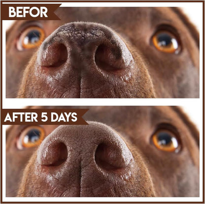 SINCE 1871 GÜLLÜOGLU Vetnatural Pet Eye Drops & Lick-Safe Dog Paw & Nose Balm Set