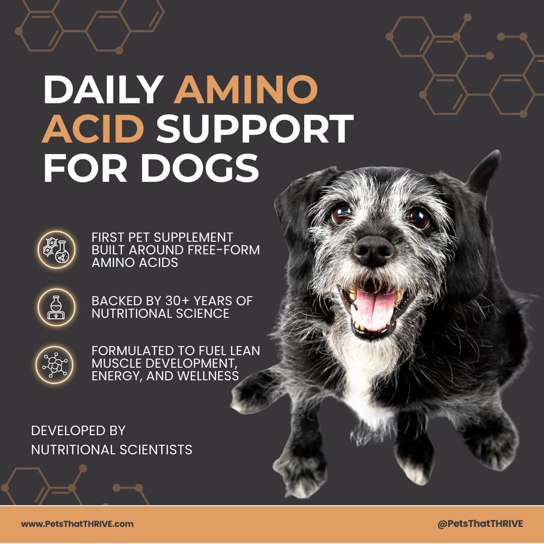 Thrive Daily Amino Acids for Dogs – Muscle Health, Recovery, Energy & Longevity – Supports Joints, Skin & Coat – Peanut Butter Soft Chews, 30 Count (4.8oz)