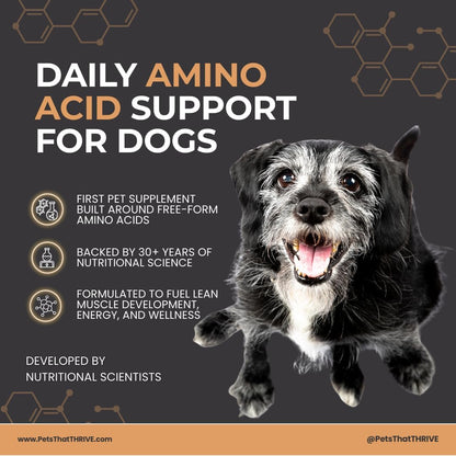 Thrive Daily Amino Acids for Dogs – Muscle Health, Recovery, Energy & Longevity – Supports Joints, Skin & Coat – Peanut Butter Soft Chews, 30 Count (4.8oz)