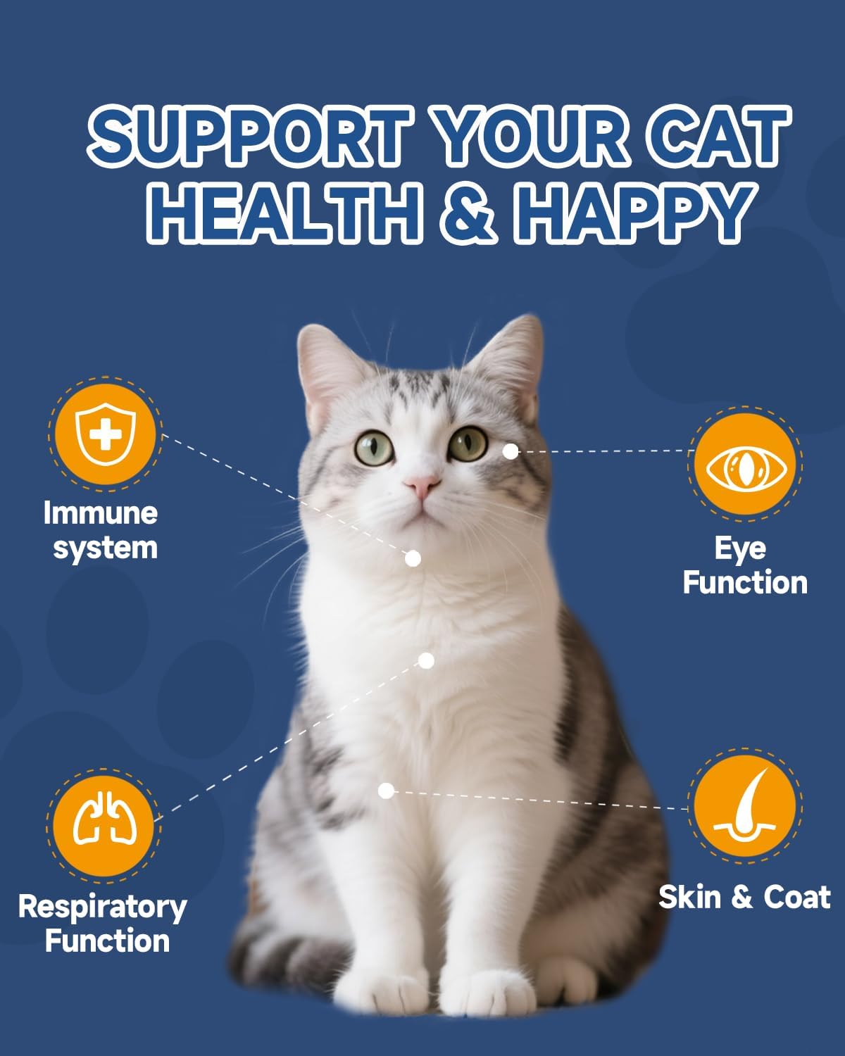 Cat L-Lysine Drops, Paste & Powder, Lysine for Cats - Support Immune System, Respiratory, Eye Health, Ease Sneezing, Runny Nose, Watery Eyes