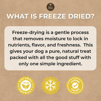Bully Bunches Freeze Dried Beef Liver Dog Treats - Made in USA, Human Grade, Natural Single Ingredient, High Protein Training Treats for Dogs & Puppies, Grain Free - 3.53 oz