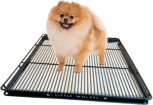 Little Wolves Puppy Potty Tray – 22x22 Shred-Proof Heavy-Duty Training Tray for Puppies & Small Dogs, Easy-Clean, Indoor Dog Pee Pad Holder (Small Gap)