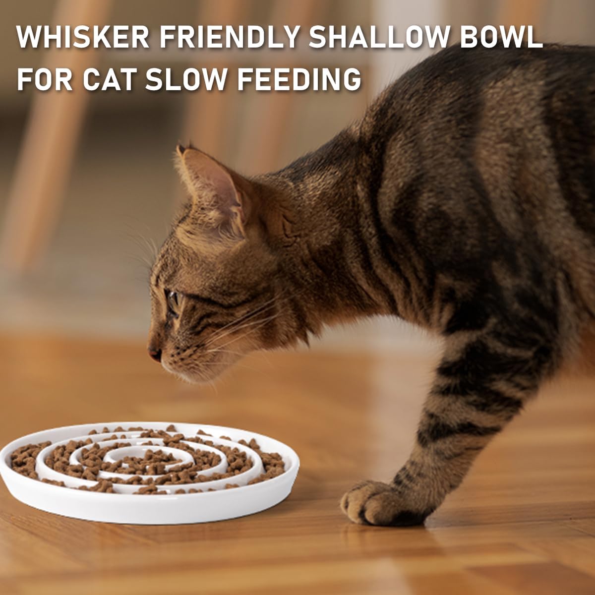 Ceramic Cat Slow Feeder,Shallow and Wide Opening Dish for Whisker Friendly,Anti Knocked Over Heavy Plate Bowls for Puppy Kitten Dry and Wet Food