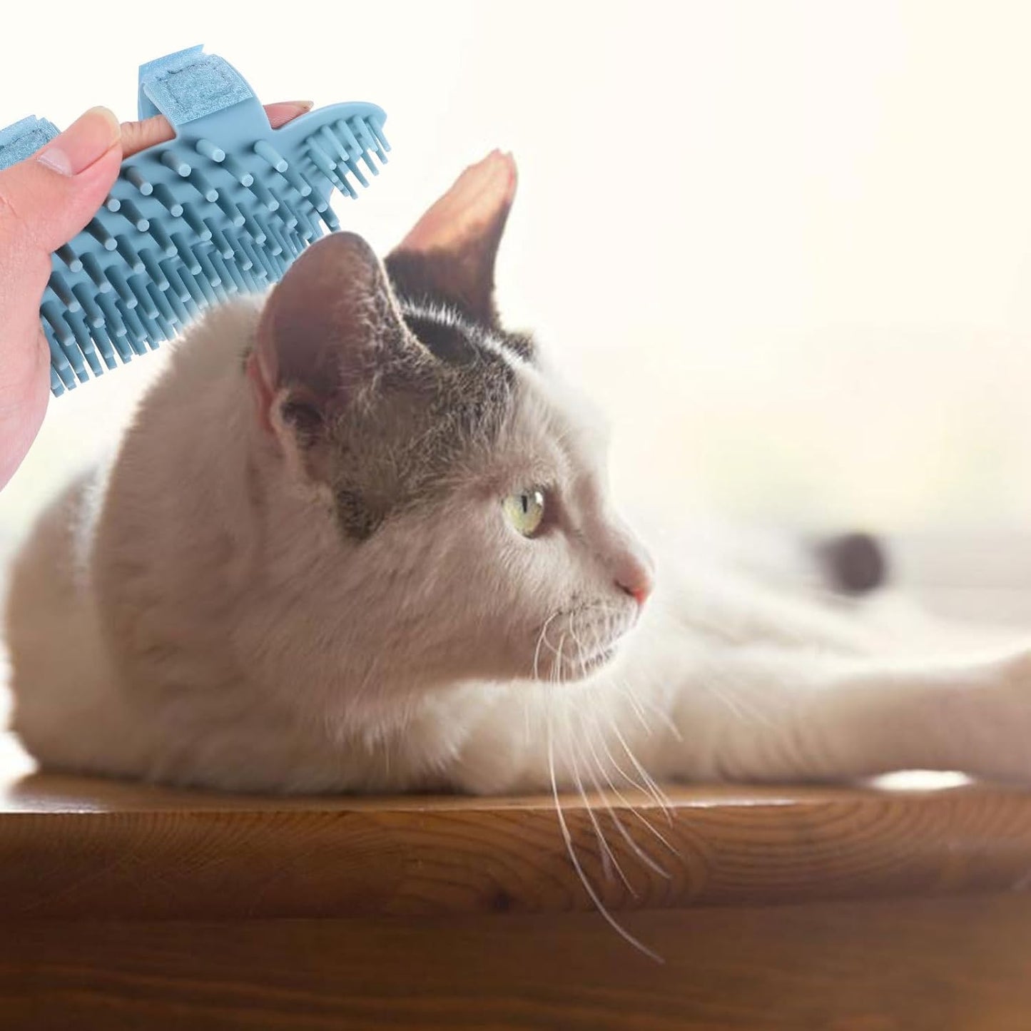 Silicone Cat Massage Comb and Grooming Brush Wall Corner Mounted Soft Pet Massage Tool for Cats Light Green Small Wet and Dry Use Hair Removal