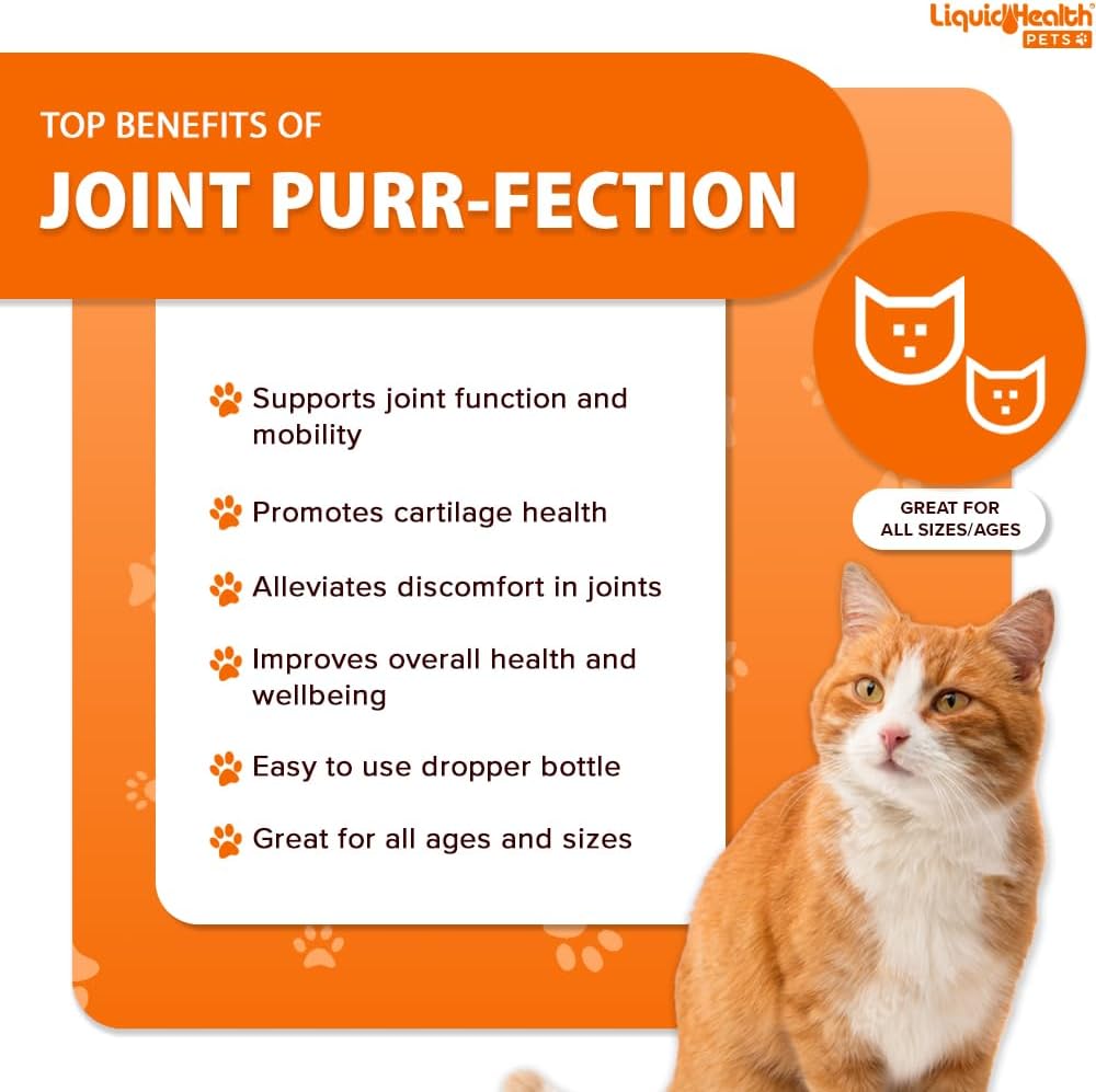 LIQUIDHEALTH Pets Liquid Cat Glucosamine Joint Purr-Fection - Hip & Joint Health Relief Support, Chondroitin Feline Droppers for Senior Older Adult Cats & Kittens - Made in The USA (2 oz)