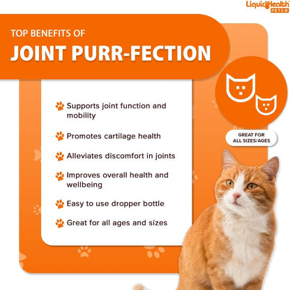 LIQUIDHEALTH Pets Liquid Cat Glucosamine Joint Purr-Fection - Hip & Joint Health Relief Support, Chondroitin Feline Droppers for Senior Older Adult Cats & Kittens - Made in The USA (2 oz)