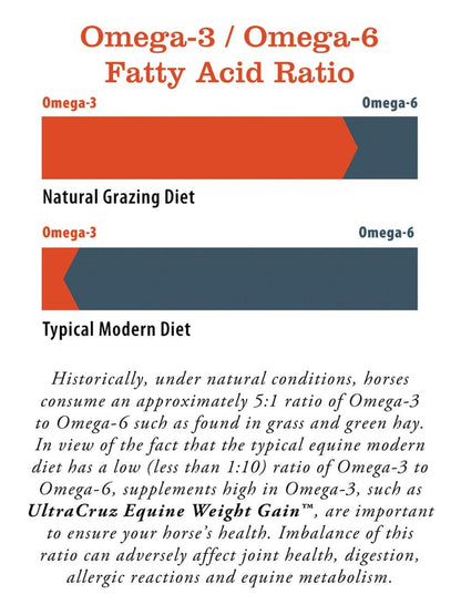 UltraCruz® Equine Weight Gain, 1 Gallon