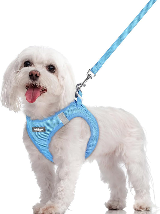 rabbitgoo Dog Harness Small Sized and Leash Set, Step in Soft Light Puppy Vest, Breathable Mesh Pet Harness, Reflective for Safe Easy Walking, Blue M