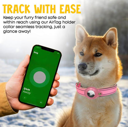 Essential Pet Supplies: Pet Collar for Small Dogs with Reflective AirTag Holder and Secure,Comfortable Padding Bundled with Safe Dog Nail Clippers and Self-Cleaning Dog Brush