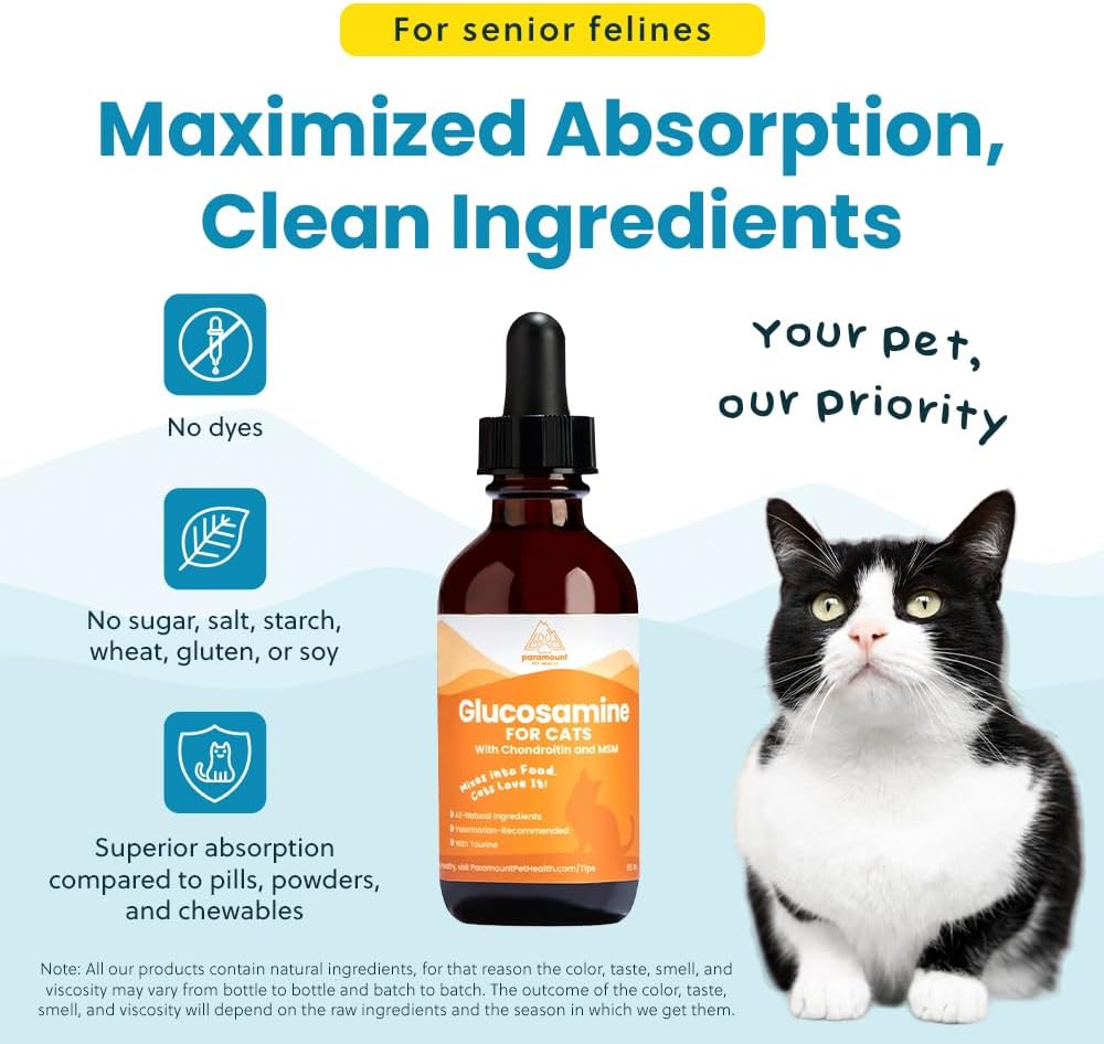 Liquid Glucosamine Chondroitin MSM for Cats, Hip & Joint Support Supplement, Helps Maintain Mobility and Flexibility, Senior Cat Glucosamine Drops for Daily Joint Care, 2oz