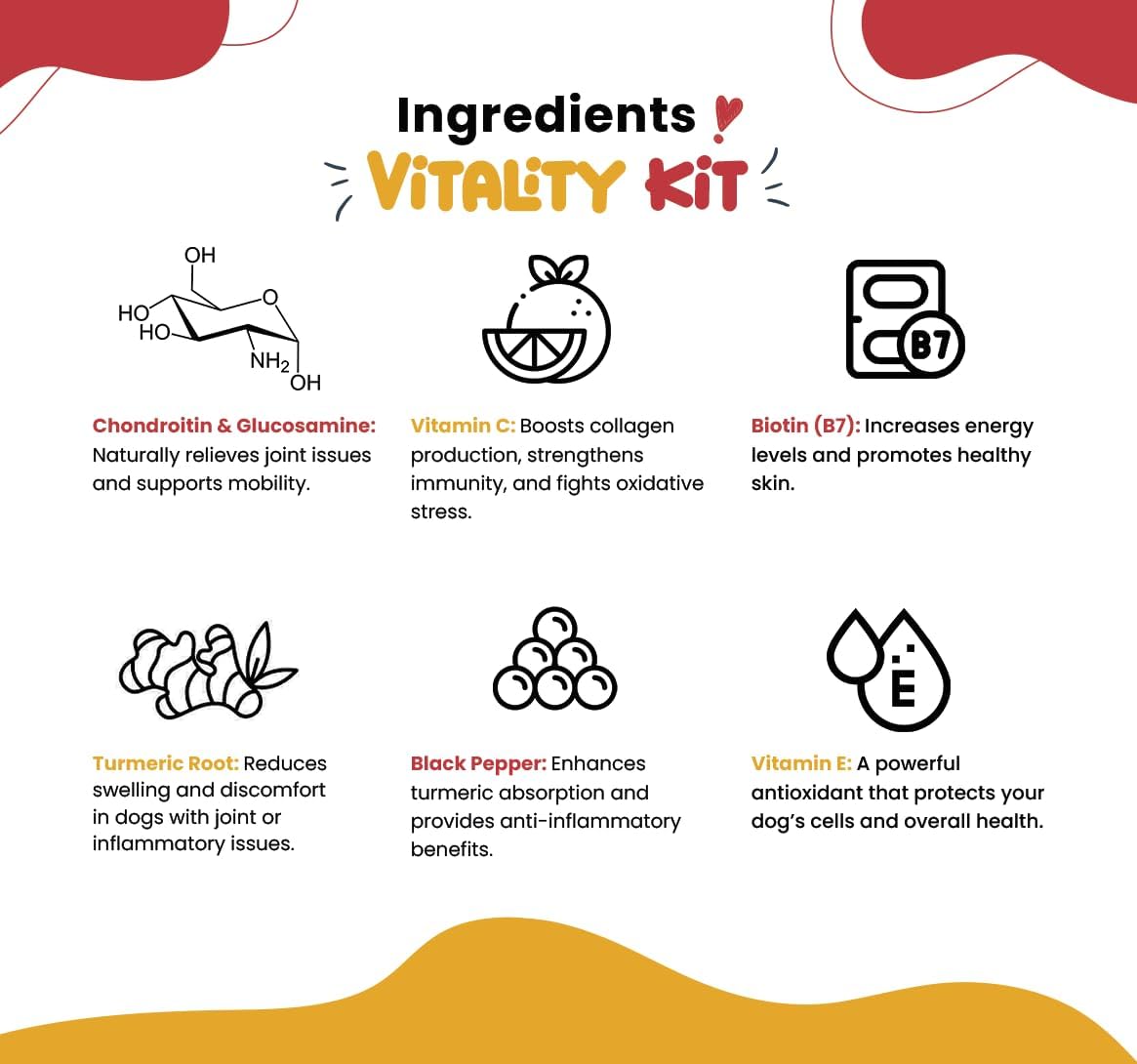 Turmeric & Multivitamin Chews for Dogs – 10-in-1 Supplement with Glucosamine, Curcumin, Omega Fish Oil & Antioxidants – Joint Pain Relief, Immune, Digestive, Skin & Coat Support (90 Chews)