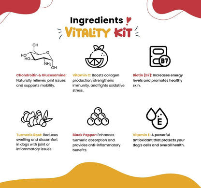 Turmeric & Multivitamin Chews for Dogs – 10-in-1 Supplement with Glucosamine, Curcumin, Omega Fish Oil & Antioxidants – Joint Pain Relief, Immune, Digestive, Skin & Coat Support (90 Chews)