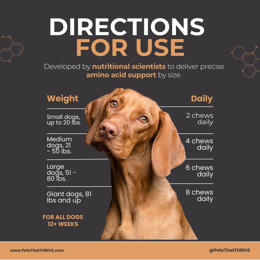 Thrive Daily Amino Acids for Dogs – Muscle Health, Recovery, Energy & Longevity – Supports Joints, Skin & Coat – Peanut Butter Soft Chews, 30 Count (4.8oz)