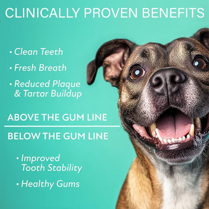 Dental Powder for Dogs Teeth Care, Complete Oral Care for Sm Dogs, Probiotic Food Topper for Extreme Bad Dog Breath (Sm Dog (Under 40 lbs))