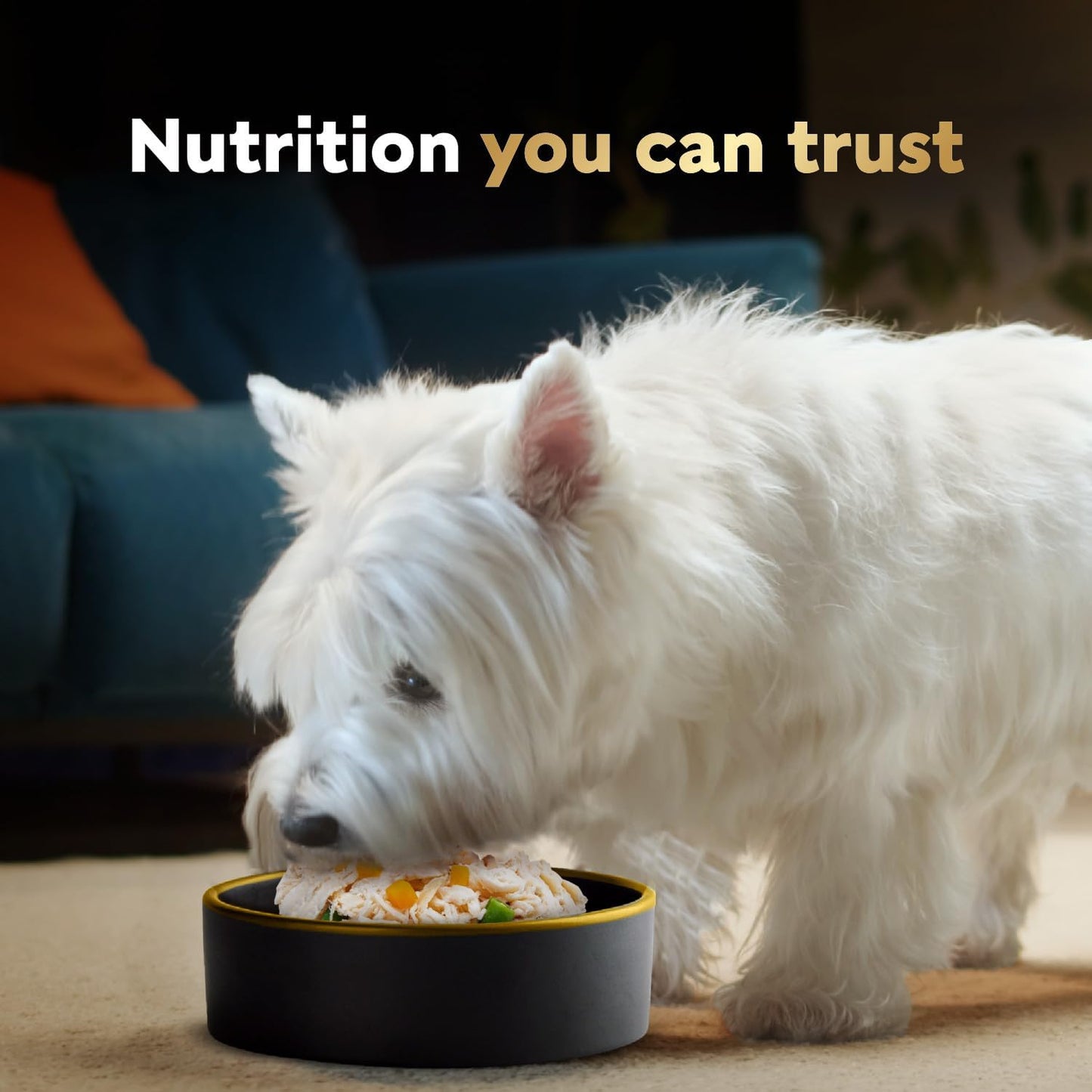 Cesar Wholesome Bowls Adult Wet Dog Food, Chicken, Carrots, Barley & Green Beans Recipe and Beef, Chicken, Purple Potatoes & Carrots Recipe Variety Pack, 3 oz., 6 Count