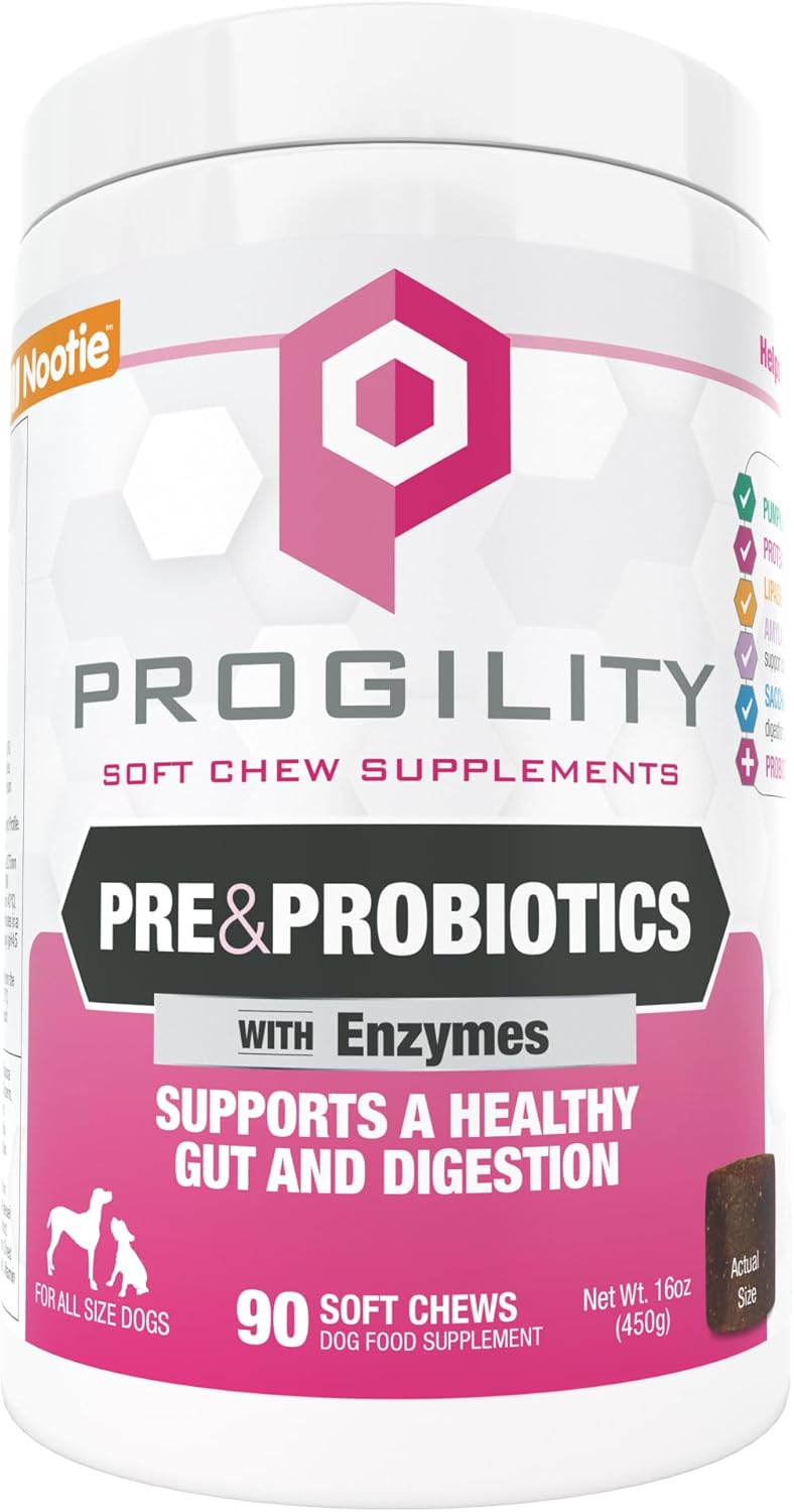 Nootie Progility Pre & Probiotic Supplement, Digestive Aid Supplement for Dogs, 90 Soft Chews per Container