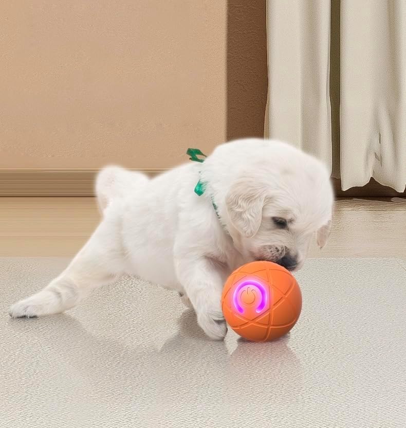2PCS Interactive Dog Ball Toy, Duarpsin Dog Balls, Shaky BallToy for Dogs, Vibrating DogBalls, Smart Jumping BallToys, Fun Shaking Pet Bounce Electric Balls Automatic Moving Pet Toys for Dogs.