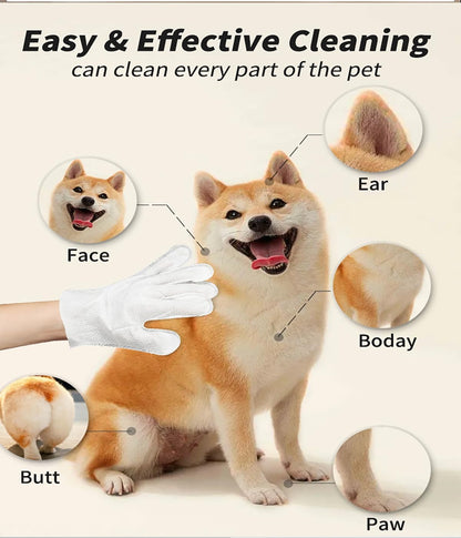 AQUASAFE Pet Bath & Cleaning Gloves for Allergy Prevention & Deodorizing | Thick, Moisturizing Wipes with Aloe & Vitamin E | No Rinse Needed for Daily Care, Travel, Grooming(12PCS)