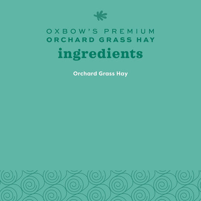 Oxbow Orchard Grass Hay for Small Pets – All-Natural Long Strand Fiber Hay for Rabbits, Guinea Pigs, Chinchillas, and Hamsters – Supports Digestive Health and Enrichment – 40 oz Bag