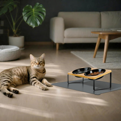 Upgraded Adjustable Height Cat Food Bowls Stand Ceramic Dog Bowls and Slow Feeder Cat Bowl, 15°Tilted Stand Anti Vomiting Raised for Small and Medium Sized Cats Dogs (Black (2 Bowl+Pet mat))