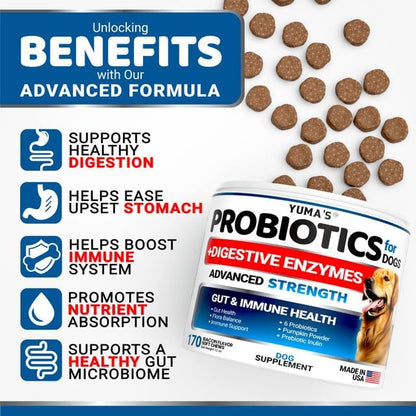 Probiotics for Dogs and Digestive Enzymes - 170 Dog Probiotics Chews - Dog Probiotic - Anti Diarrhea, Upset Stomach & Gas Relief, Canine Prebiotic - Pet Fiber Supplement - Bacon Flavor