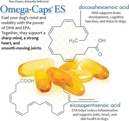 Omega Caps ES Extra Strength for Large and Giant Dogs Omega-3 and Omega-6 Fatty Acid Antioxidant Supplement Vet Formulated Made in USA Skin Coat Joint Heart and Immune Health 60 Softgel Capsules