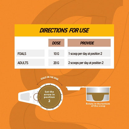 Organnact Antiox E-C Selenium Supplement for Horses - Supports Antioxidant Functions with Vitamin E, C & Selenium - Ideal for Athletes, Breeders & Aging Horses - 1.1 Lbs