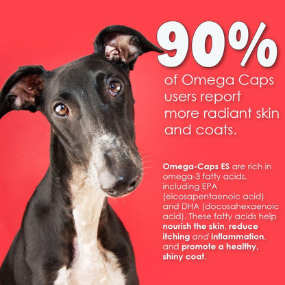 Liquid for Dogs and Cats High Potency Omega-3 and Omega-6 Fatty Acids Concentrated EPA and DHA Fish Oil Supplement Vet Formulated Made in USA Skin Coat Joint and Heart Health 8 fl oz 48 Servings