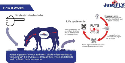 JustiFLY Equine 8-8-8 Feedthrough Fly Control Formula for Horses (4.75 lb) – Complete Protection from Stable, Horn & House Flies, Dung Beetle Safe