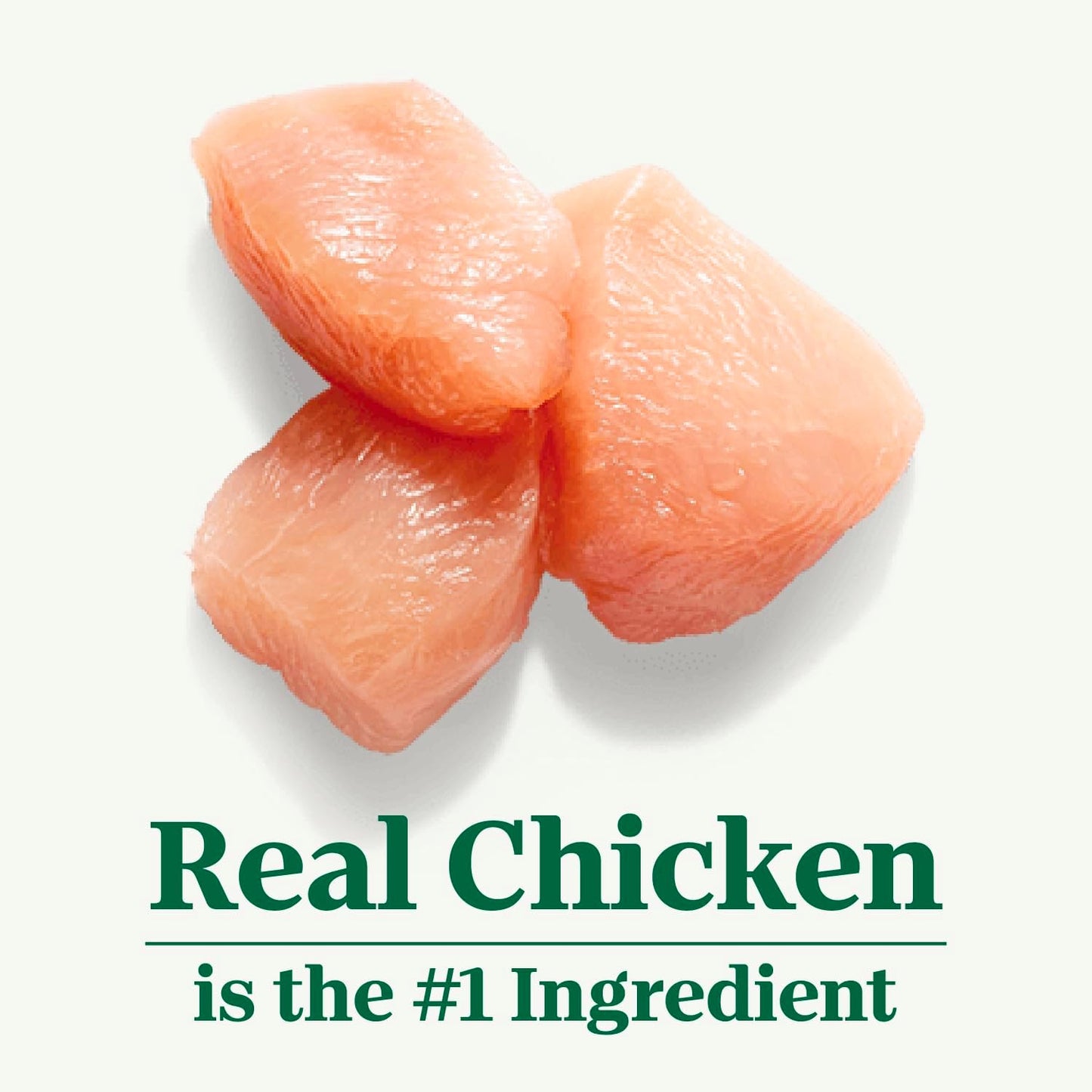 Nutro Wholesome Essentials Hairball Control Cat Food Dry Chicken & Brown Rice Recipe, 5 lb. Bag