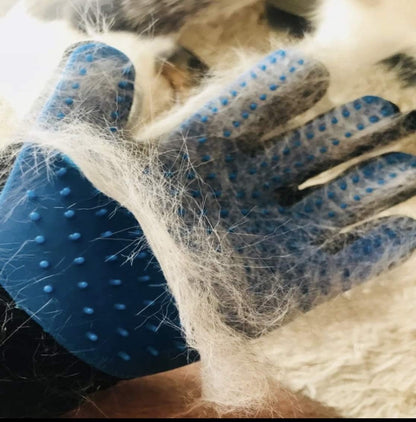 Mitt Mister Pet Grooming Glove
