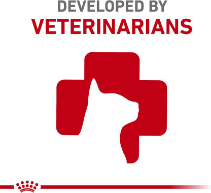 Royal Canin Feline Health Nutrition Indoor Adult & Adult Instinctive Thin Slices in Gravy and Morsels in Gravy Variety Pack Cat Food, 3 oz (Pack of 12)