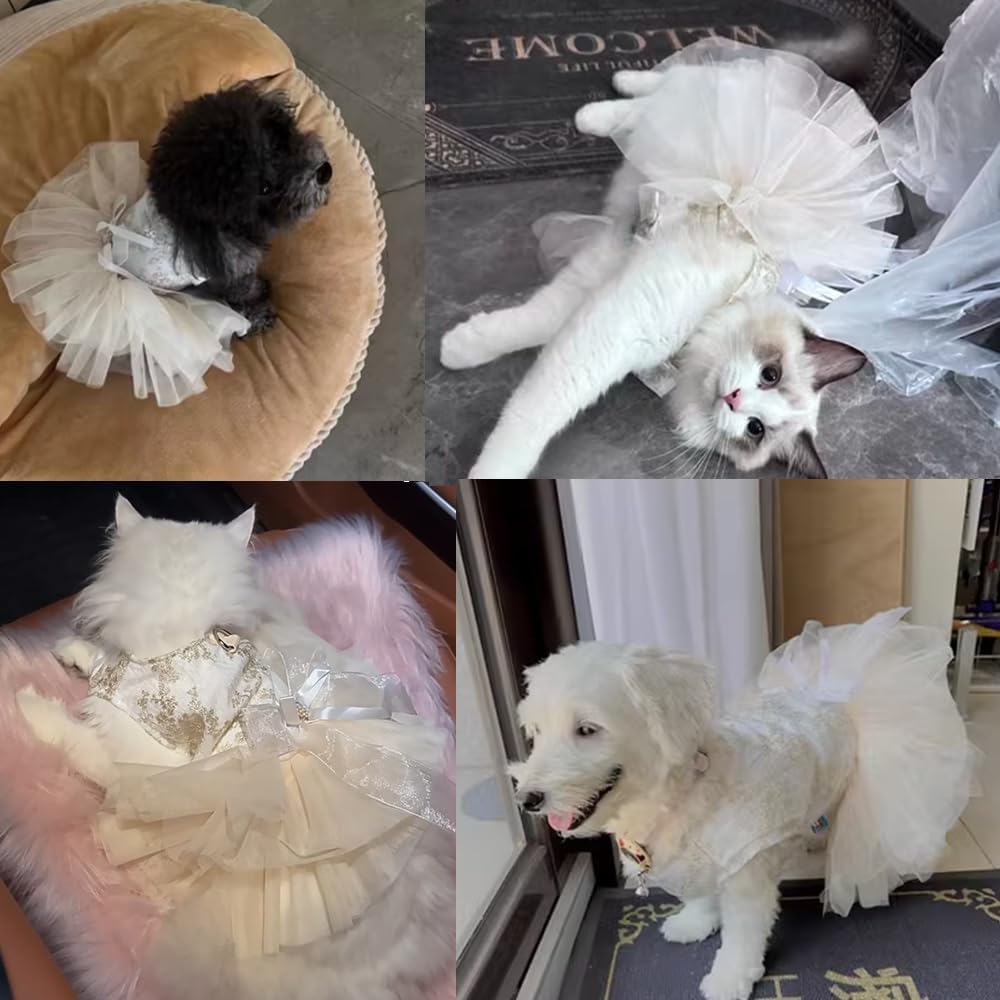 ANIAC Embroidered Dog Dress for Small Dog,Girl Puppy Princess Tutu Dress with Leash Ring,Cat Apparel,Chihuahua Yorkie Clothes for Birthday Wedding (Small, Champagne)