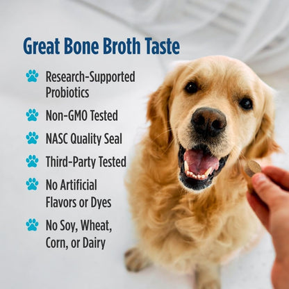 Nordic Naturals Pet Digestive Support with Probiotics, Pork Bone Broth Flavor - 30 Soft Chews - Nutritional Supplement for a Healthy Digestive System and GI Support - 30 Non-GMO Chews