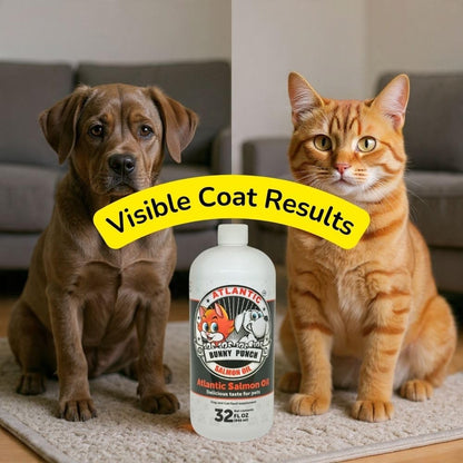 32 oz Salmon Oil for Dogs & Cat's, 100% Pure Atlantic Salmon Oil, Supplemental Fish Oil for Healthy Dog's Coats, Omega 3 Dog Fish Oil Liquid for Coats and Itchy Dry Skin, Helps with HIPS & Joints.