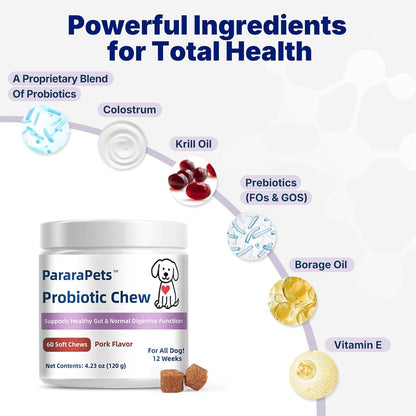 Probiotics for Dogs,Dog Gut Health Probiotics,Gastrointestinal Health Promotes Digestion and Nutrient Absorption, 60 Soft Chews