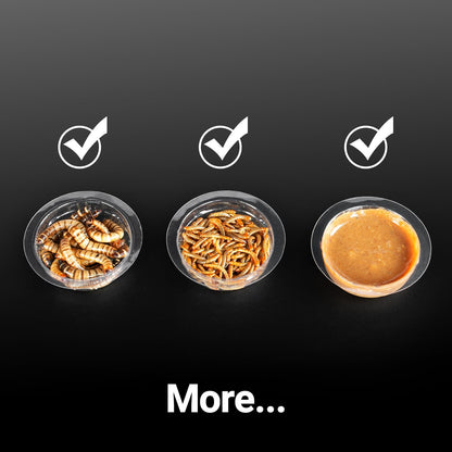 REPTIZOO 30PCS Feeding Cups for Reptile Magnetic Feeder Ledge, Replacement Cups for REPTIZOO Food Water Feeder Dish Gecko Feeding Ledge